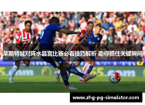 莱斯特城对阵水晶宫比赛必看技巧解析 助你抓住关键瞬间