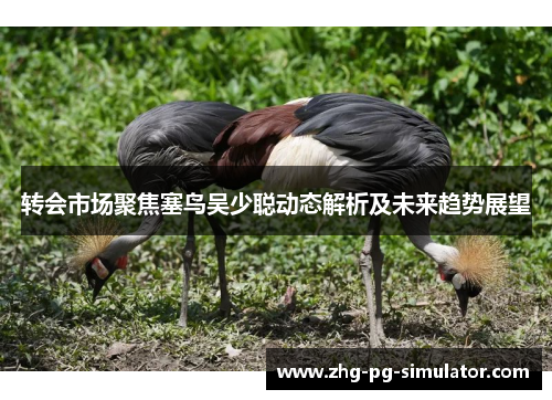 转会市场聚焦塞鸟吴少聪动态解析及未来趋势展望