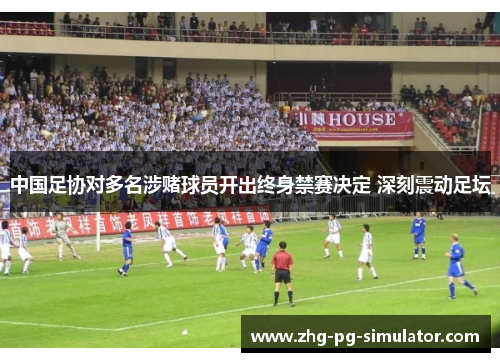 中国足协对多名涉赌球员开出终身禁赛决定 深刻震动足坛 中国足协对多名涉赌球员开出终身禁赛决定 深刻震动足坛