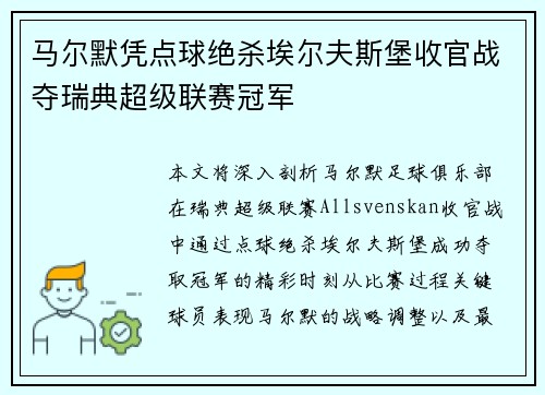 马尔默凭点球绝杀埃尔夫斯堡收官战夺瑞典超级联赛冠军