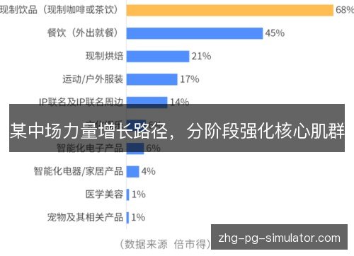 某中场力量增长路径,分阶段强化核心肌群 某中场力量增长路径,分阶段强化核心肌群
